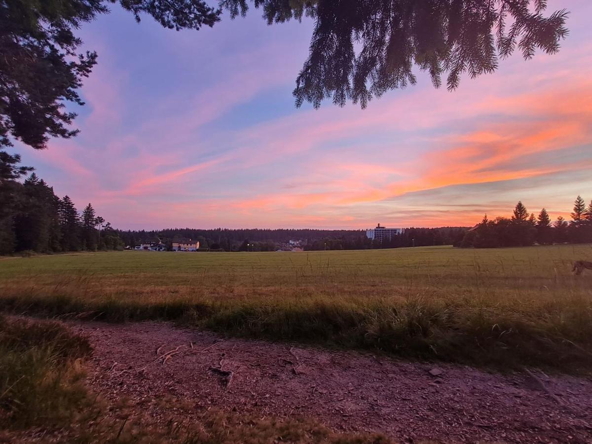 Appartamento Haus Schonblick Kniebis Esterno foto