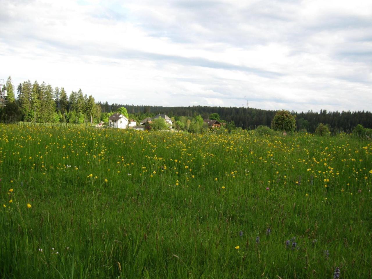 Haus Schoenblick Kniebis Esterno foto
